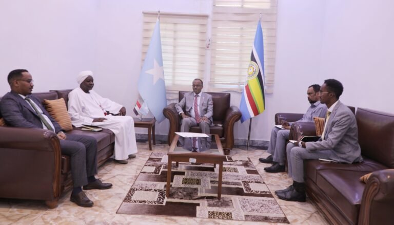 Somali State Minister for Foreign Affairs Receives Sudanese Ambassador