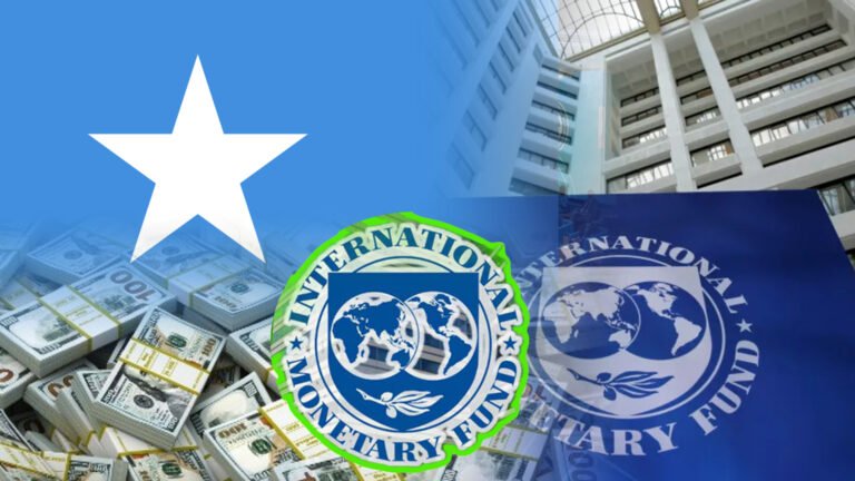 {DAAWO MUQAALKA}Waa kuwee Dalalka Soomaaliya ay kaga hormartay Dhinaca Dhaqaalaha.?