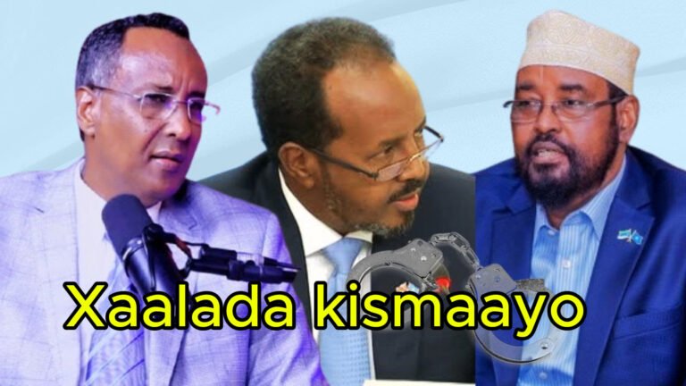 {DAAWO MUQAALKA}  Xildhibaan Xidig oo Faah faahin ka bixiyay Shirka kismaayo.