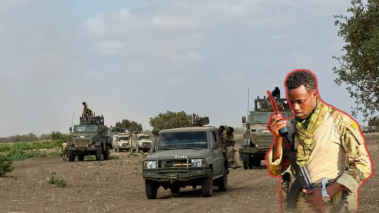 {DAAWO MUQAALKA} Ciidamada Danab oo Howlgal Cir iyo Dhul ah ka Fuliyay Sh/Hoose