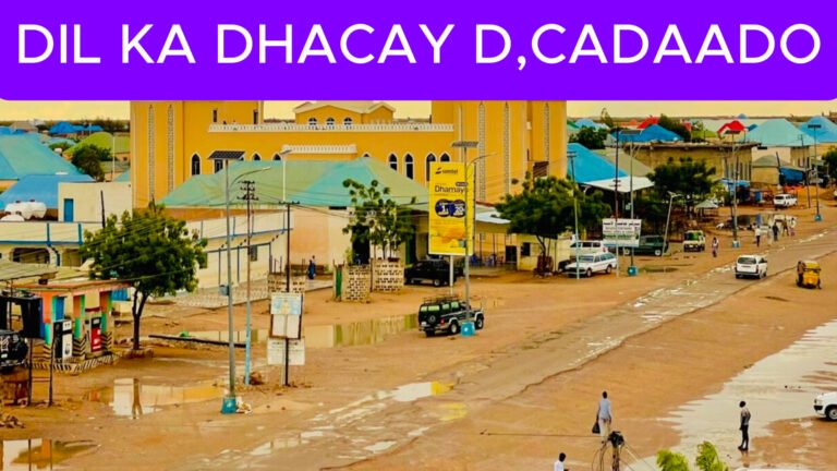 {DAAWO MUQAALKA} Eedeysane Xalay dil geystay oo gacanta lagu soo dhigay.