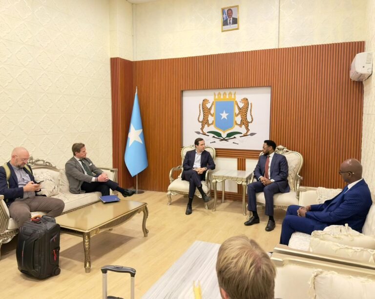 Somali, Swedish Ministers Meet in Mogadishu to Boost Economic Ties.