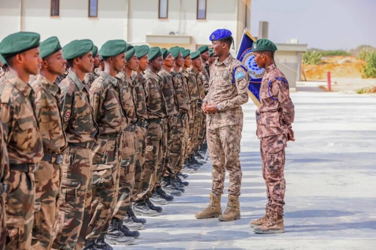 DFS oo mudo ka dib markii ugu horaysay soo saartay cutub cusub oo ka tirsan gaarka ah ee Haramcad.