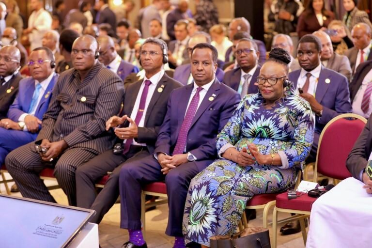 Somali FM Arrives in Cairo for 2nd Russia-Africa Partnership Forum