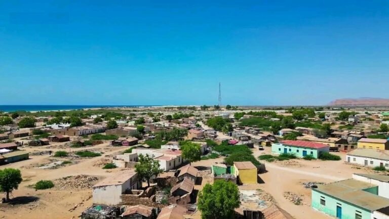 Dowladaha Turkiga oo Qorsheyneysa in ay Saldhig Ciidan ka sameysato Xeebta Las Qoray.