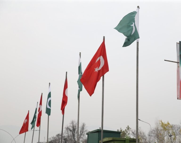 Muxu Yahay Iskaashiga Ay Wadagaleen Dowladaha Pakistan iyo Türkiye ?