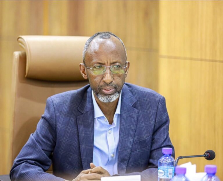 Madaxweynaha Soomaaliya oo Ergo udiray Mucaaradka