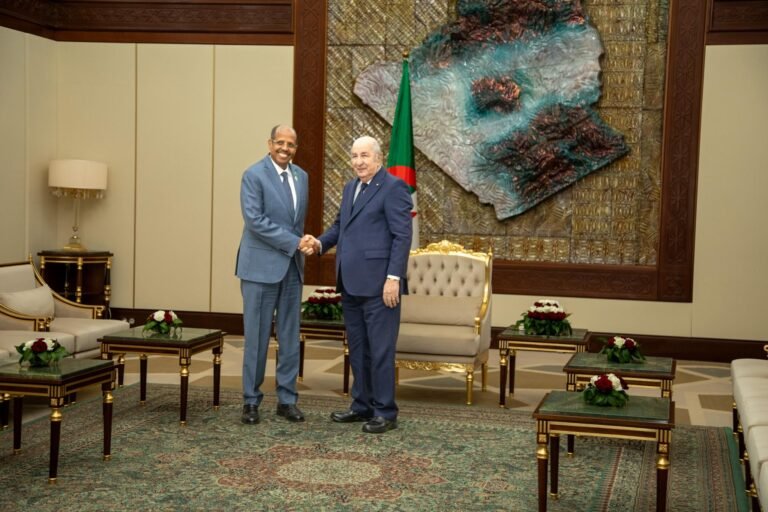 African Union Chairperson Meets with Algerian President.