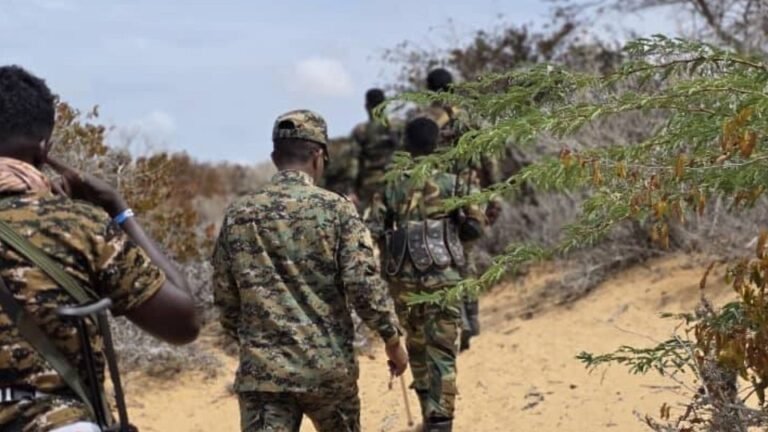 Ciidanka Xoogga Dalka Soomaaliyeed oo howlgallo qorsheysan ka sameeyay Magaalada Baraawe.