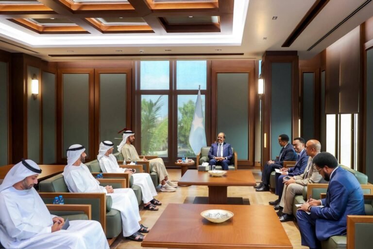 Shirka Kismaayo oo wajahaya caqabado dhaqaale kadib isbeddel ku yimid xiriirka DFS iyo Imaaraadka.