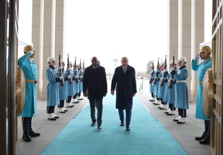 President Erdoğan meets with Sudan Sovereignty Council Chairman al-Burhan