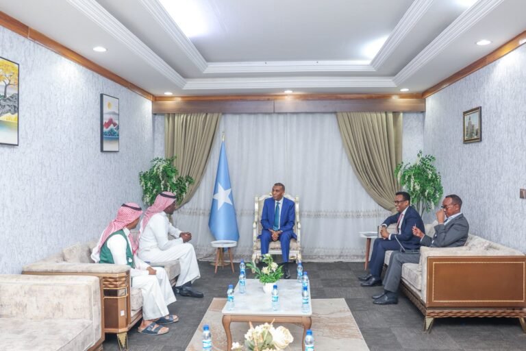 Prime Minister Barre Discusses Strategic Investment and Humanitarian Aid with Saudi Ambassador