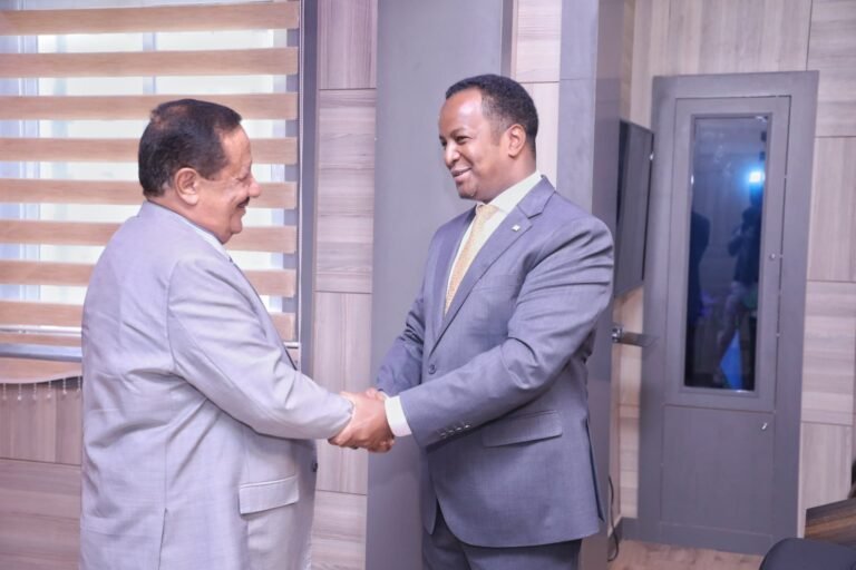Somali FM Discusses Ways to Deepen Ties with Yemeni Ambassador.
