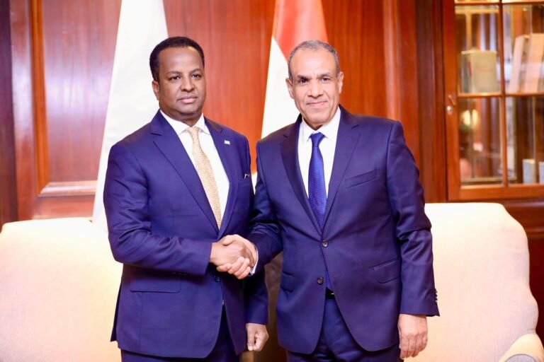 Somali FM meets Egyptian counterpart to advance strategic partnership.