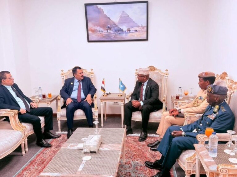 Somalia and Yemen Discuss Joint Maritime Security and Arms Control in Cairo