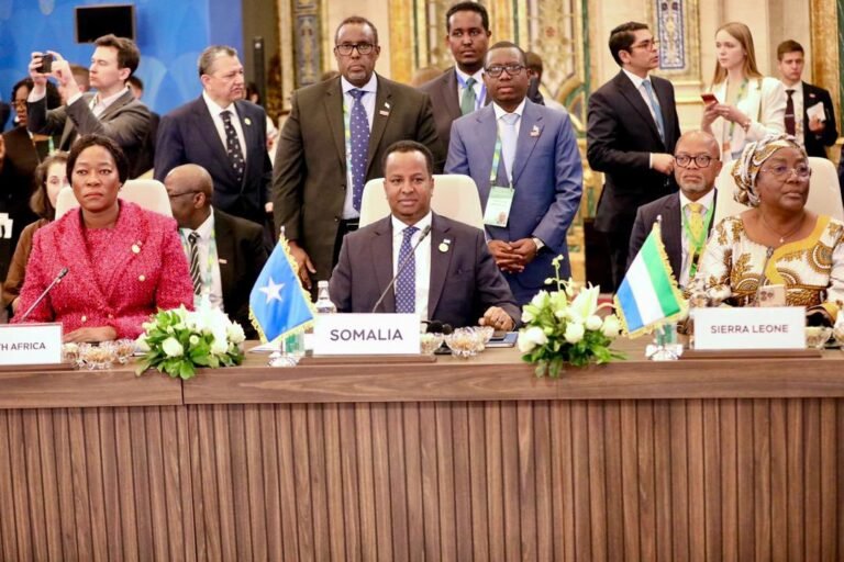 Somali FM Calls for Cooperative Solutions at Russia–Africa Forum.