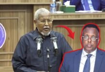 {DAAWO MUQAALKA} Senator Muuse ”15 Sano ayey Qaan gaarnimada dinta islamka ay qabta wixii kasoo horay nama quseeyaan