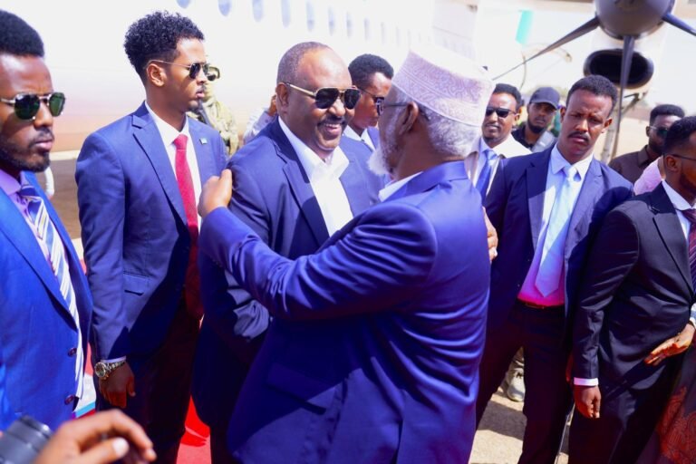 DFS oo nasiib darro ku tilmaamtay dib u dhaca ku yimid safarka Maamulada Puntland iyo Jubbaland.