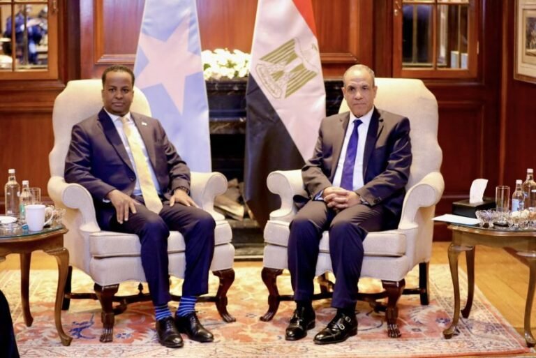 Somali FM meets Egyptian counterpart to advance strategic partnership