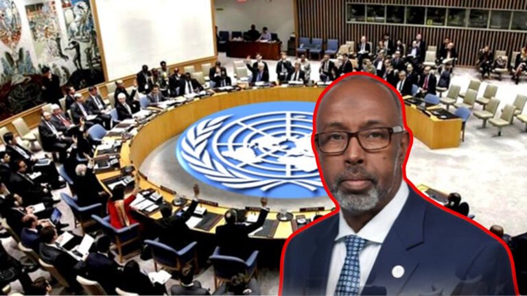 {DAAWO MUQAALKA}  Maxeey ka faaideysaa Soomaaliya Hogaanka Qaramada Midoobay oo ay maanta qabatay?