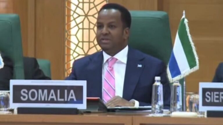 Somalia’s FM Addresses OIC Emergency Meeting in Jeddah.
