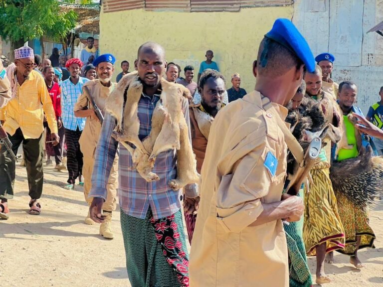 Booliska Afmadow oo xiray Rag ku howlanaa ka ganacsiga iyo laynta duur-joogta