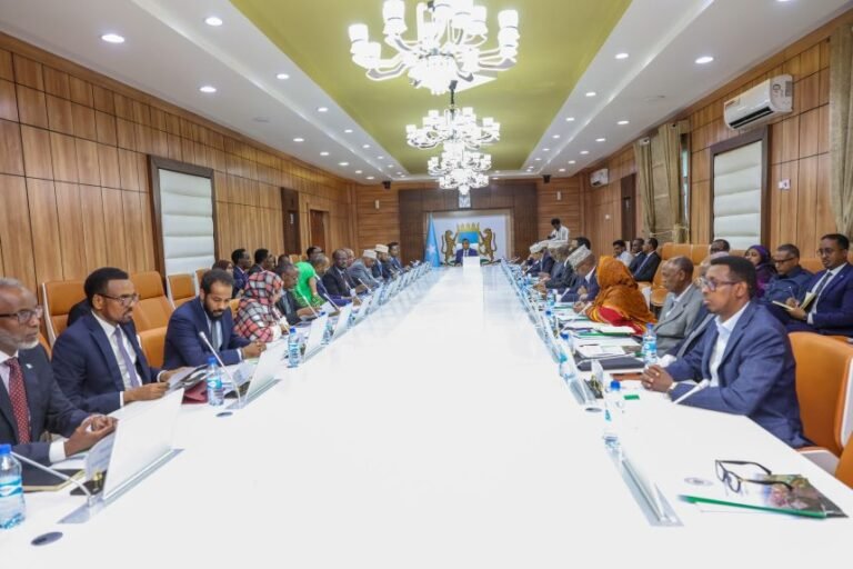 Cabinet Appoints Gen. Ibrahim Mohamed Mohamud as Army Chief; Hails “Crushing Victory” in Jabad-Godane with Over 550 Militants Neutralized