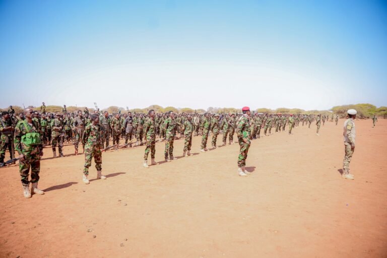 Somali, allied forces carry out airstrike in Middle Shabelle, kill 17 militants