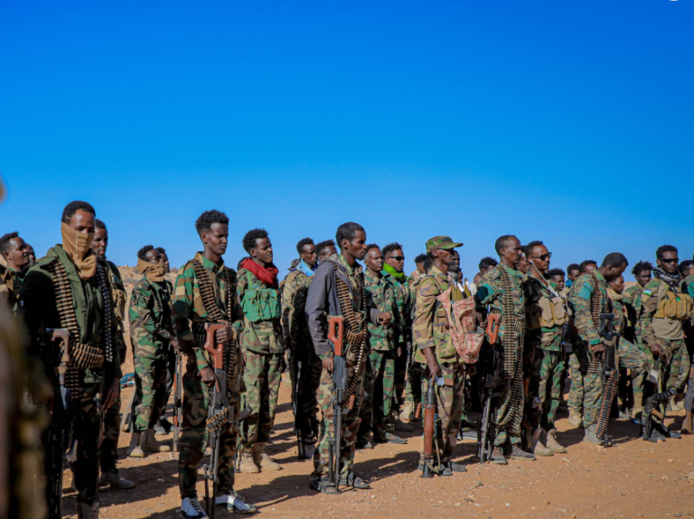 Maxay  Yihiin Ciidanka  Ay Dowladda Soomaaliya ka Howlgilineyso  Deegaannada Puntland?