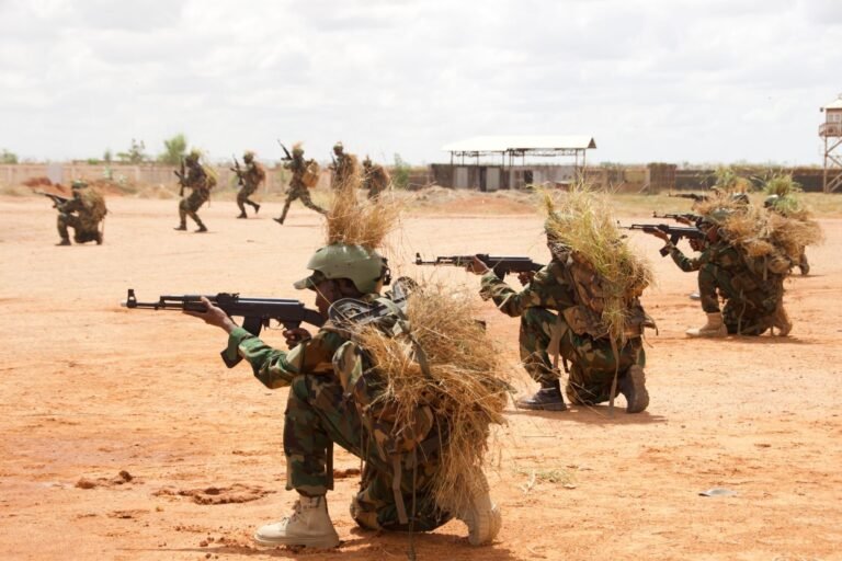 Somali forces kill 15, capture eight Al Shabaab terrorists in southern Somalia.