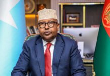 Dowladda Fedaraalka oo shaacisay in 130 xubnood As lagu dilay magaalada Kudhaa.