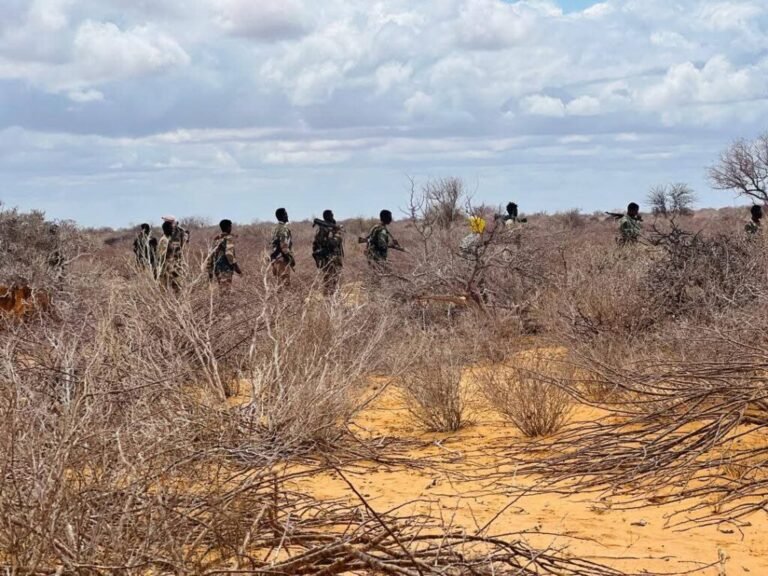 Dowladda Soomaaliya ayaa xaqiijisay in ciidanka xoogga ay weli gacanta ku hayaan deegaanka Jabad Godane oo ka tirsan  Sh/ Dhexe