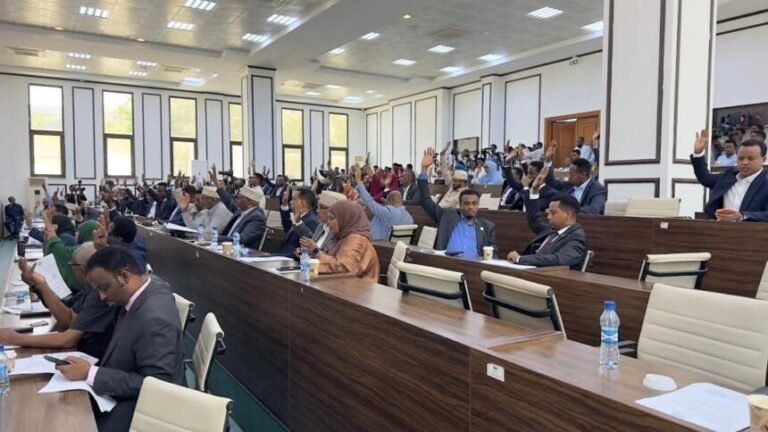 House of the People of the Federal Parliament of Somalia Approves Cybersecurity Bill