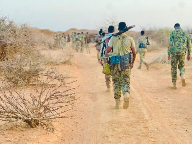 Howlgal qorsheysan oo Laga Fuliyay Deegaanka Abooreey.