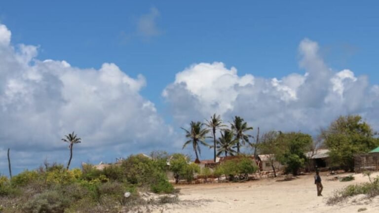 DFS ayaa si rasmi ah u xaqiijisay in deegaanka Kudha  ay la wareegeen   askarta Danab iyo kuwa Jubbaland .