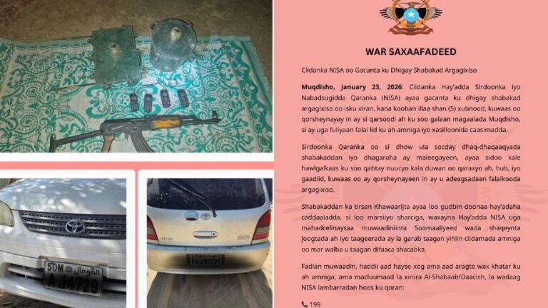 Ciidanka NISA oo Sheegtay in ay Gacanta ku Dhigtay Shabakad Argagixiso.