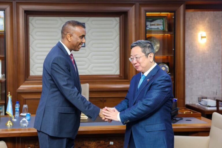 PM Hamza and Chinese Ambassador Discuss Joint Stance Against Israeli Interference; Beijing Reaffirms Support for Unity