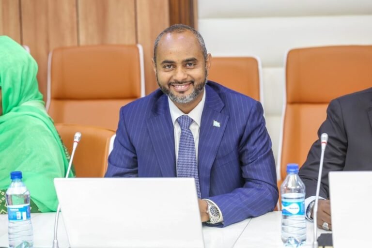 Ports Minister Hails Cabinet Approval of New Maritime Registration Regulation; Reform to Secure Somali Flag Reputation