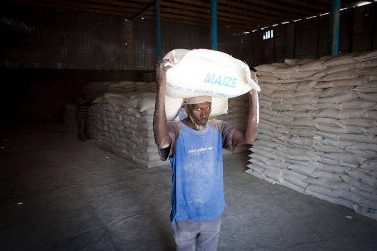 Dawladda Soomaaliya oo hadal ka soo saartay eedeyn ka timid Maraykanka oo la xiriirta gargaar la lunsaday