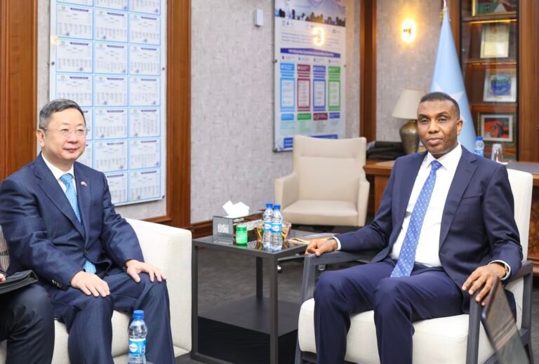 Prime Minister Barre and Chinese Envoy Strategize on Expanding Security and Economic Cooperation