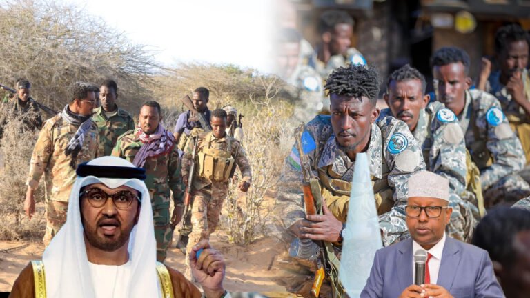 {DAAWO MUQAALKA} Soomaaliya oo Shaacisay Hal Arin oo Dalka looga Ceeriyay imaaraadka Carabta.