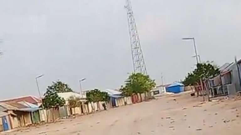 SNA and Local Forces Foil AS Attack in Middle Shabelle; Militant Commander Killed in Counter-Operation