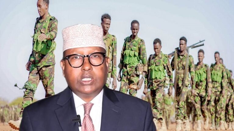 Somalia Says Dozens of Al-Shabaab Fighters Killed in Two Weeks of Fighting.