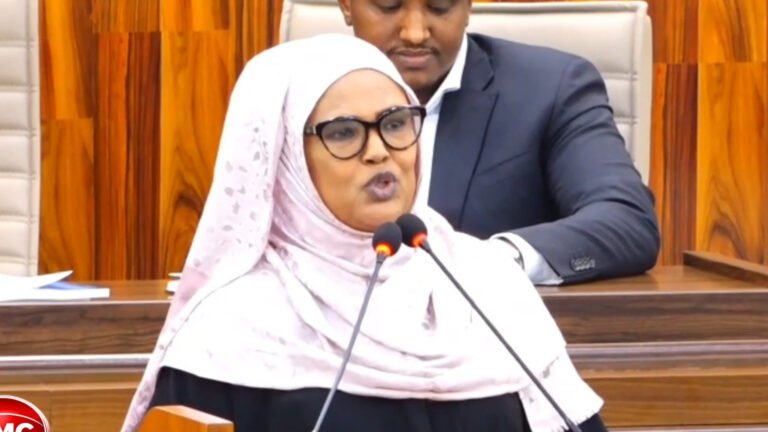 {DAAWO MUUQAALKA}  Dalka iyo dadka ha loogu naxo hala Ansixiyo Cutubka 4aad ee Dastuurka ”Xildhibaan Caasho”