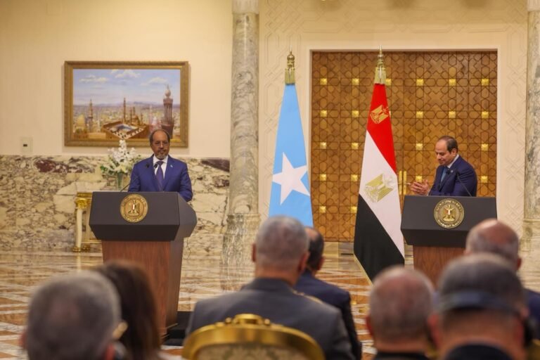 Madaxweynayaasha Soomaaliya iyo Masar oo Yeeshay Kulan Mira Dhal ah.