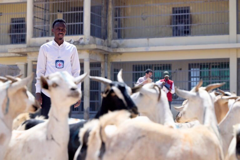 5,000 oo Maxaabiis ah  oo ku xiran Xabsiyada dalka oo la gaarsiiyay afurin