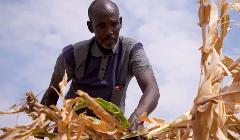 UN warns millions at risk in Somalia as food aid nears end.