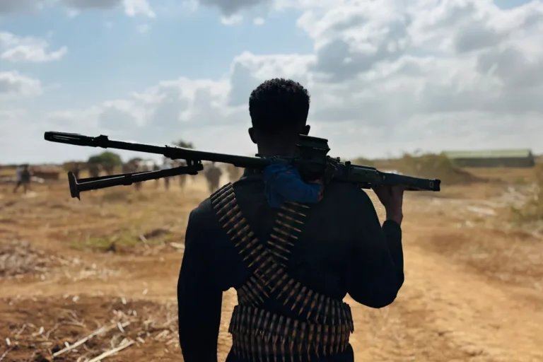 Somalia says 17 al-Shabaab commanders ‘neutralized’ in past 6 months.