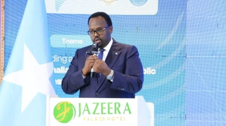 Deputy Prime Minister Salah Ahmed Jama Announces Major Advances in Digital Transformation