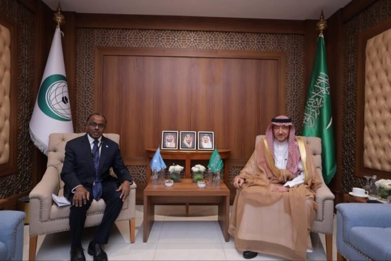 Somalia and Saudi Arabia Synchronize Diplomatic Strategy on the Sidelines of OIC Emergency Summit in Jeddah